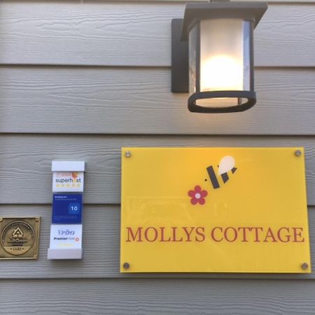 Mollys Cottage-The Suite On Vancouver Island Near Yyj Airport And The Wa And Bc Ferries North Saanich Esterno foto
